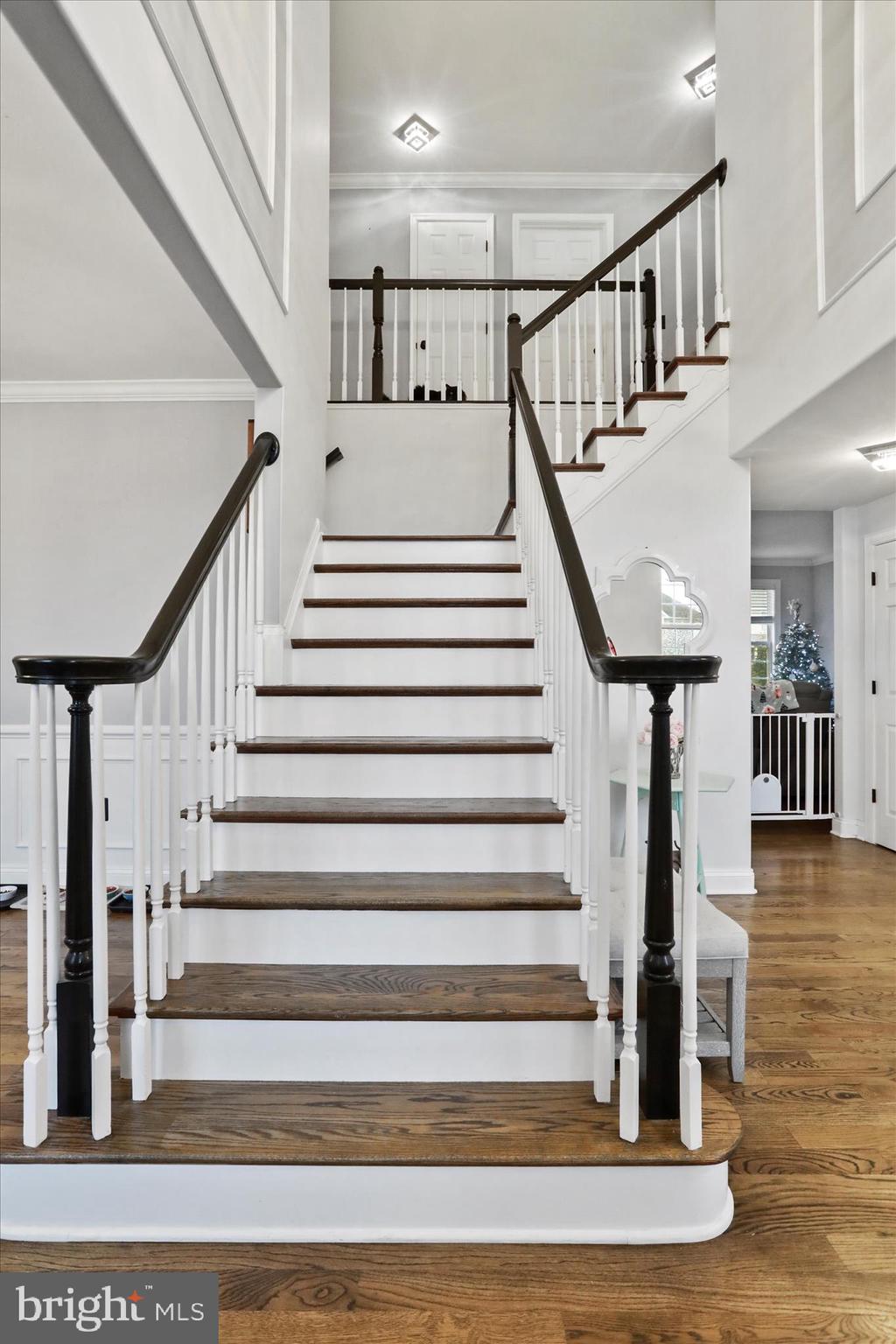 RAVENWING - Residential