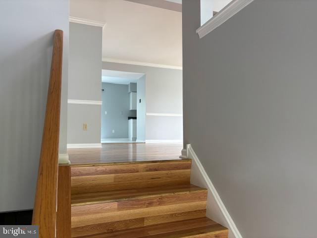 PATRIOTS RIDGE - Residential Lease