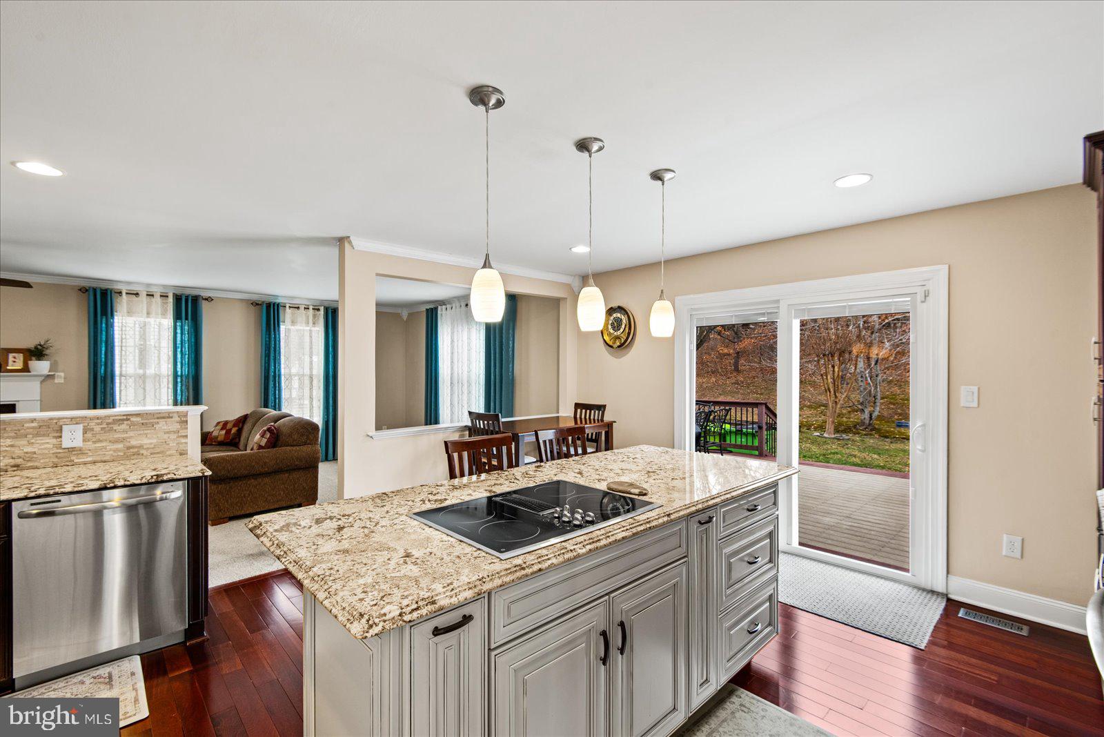 17003 CASS BROOK LANE