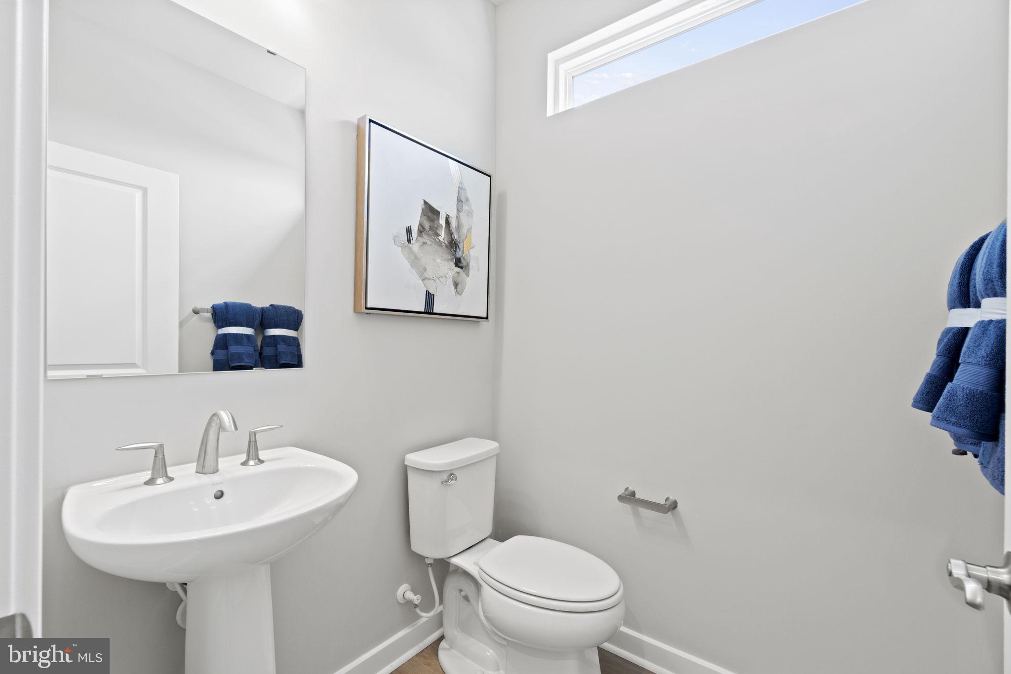 THE VILLAGE AT CABIN BRANCH - Residential