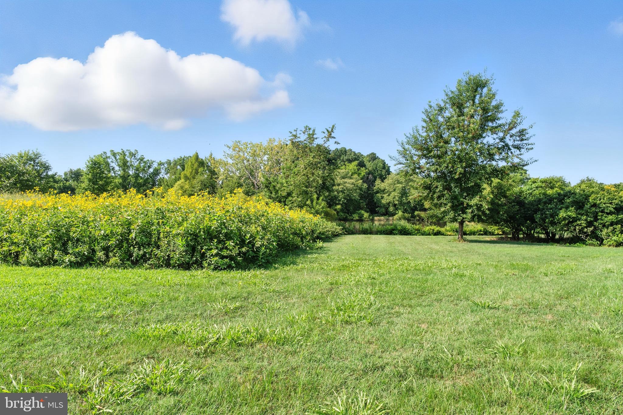 QUAKER NECK - Residential