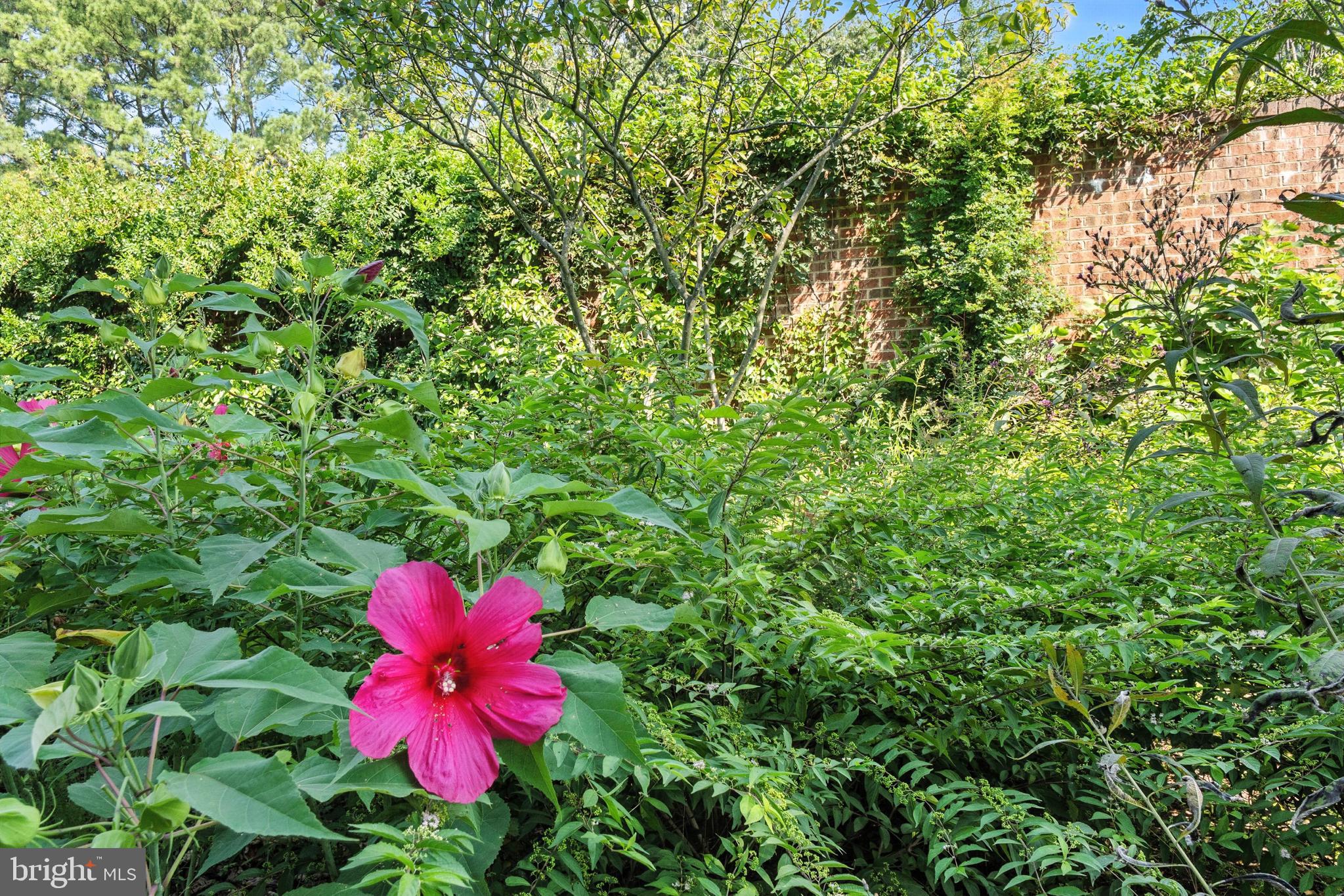 QUAKER NECK - Residential