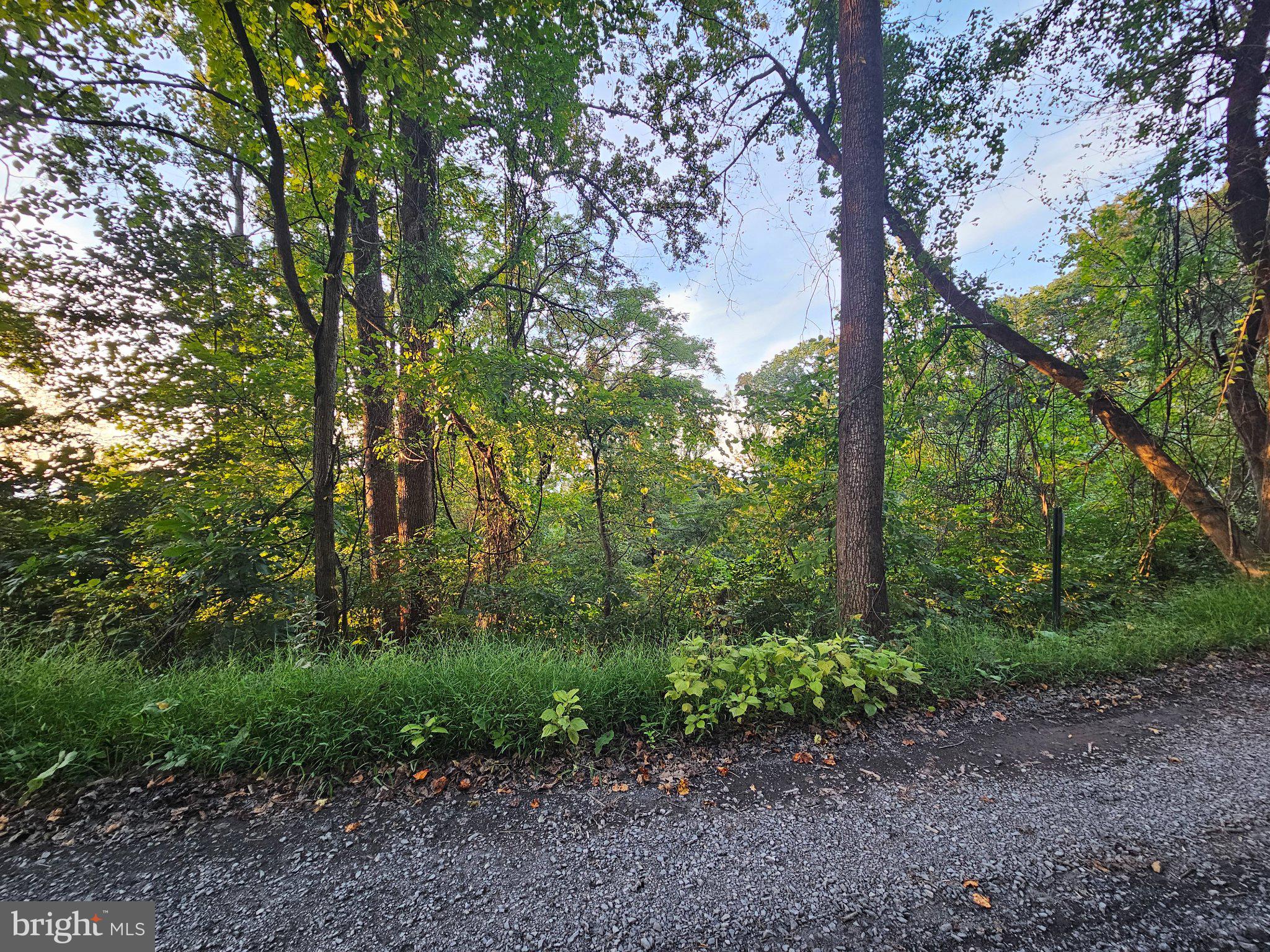 BRIAR LANE
