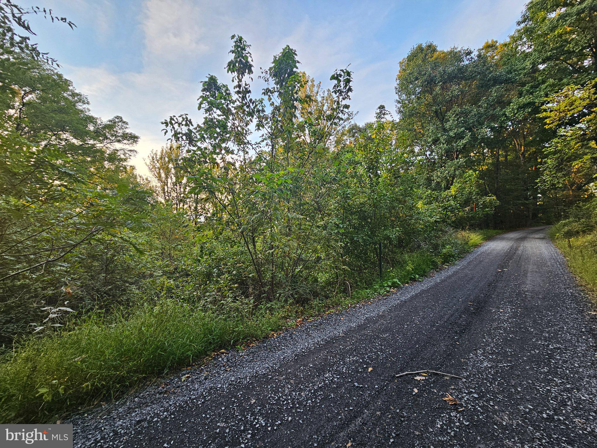 BRIAR LANE