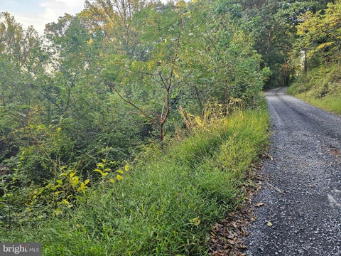 Vacant Land For Sale - Briar Lane<br/> FRONT ROYAL, VA 22630