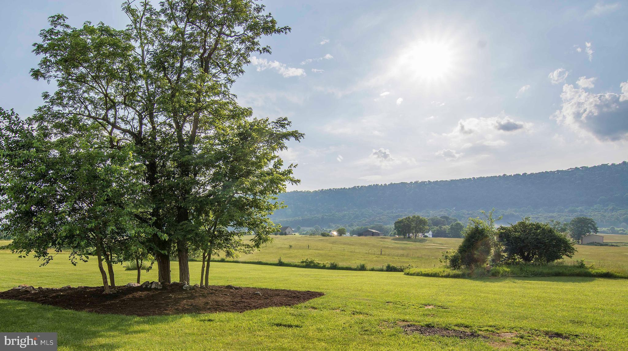 WILLOW BROOK - Residential