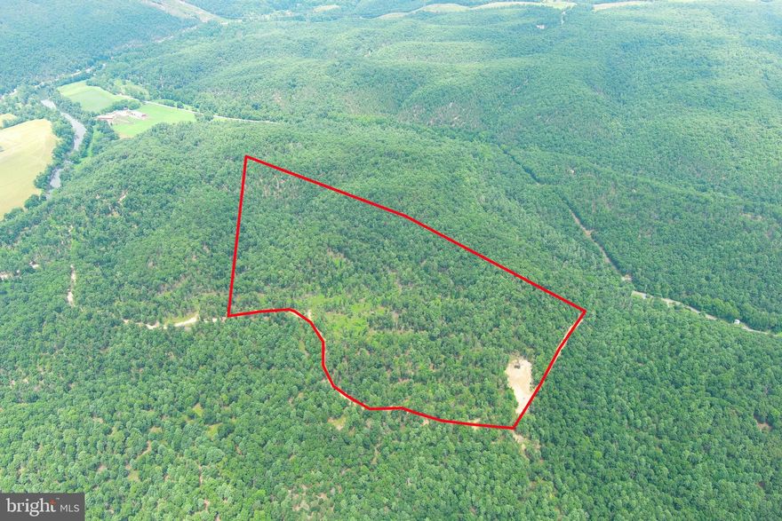 ON THE HUNT....IF YOU'VE BEEN ON THE HUNT FOR AN AFFORDABLE HUNTING PROPERTY, THE BUCK STOPS HERE! 62 WOODED ACRES THAT'S EASY TO GET TO BUT HARD TO FIND, JUST OFF THE PAVED ROAD BUT FEELS LIKE YOU'RE WAY OUT THERE. NICE TOPO ON A PLATEAU ABOVE THE CACAPON RIVER, PARTS OF THIS TRACT HAVE BEEN TIMBERED HARD, OTHER PARTS UNTOUCHED....A MIXED BAG OF RIDGES, SHALLOW SWALES, PINES & HARDWOODS. MULTIPLE BUILD/CAMP SITES WITH NICE MOUNTAIN VIEWS. A CHEAP RECREATIONAL OASIS....HUNT, CAMP, SHOOT, ATV'S OR BUILD.....ONLY 1.5 MILES FROM PUBLIC ACCESS ON THE CACAPON RIVER. LESS THAN 15 MINUTES FROM THE THRIVING VILLAGE OF WARDENSVILLE, 35 MINUTES FROM WINCHESTER, VA AND 110 MILES FROM THE WHITE HOUSE! THE DRIVE FROM DC BELTWAY IS A BREEZE. NO HOA AND MINIMAL DEED RESTRICTIONS. IF YOU'RE LOOKING FOR A DEAL THAT WON'T MAKE YOU SQUEAL, CATCH THIS GREASED PIG BEFORE IT SLIPS AWAY!