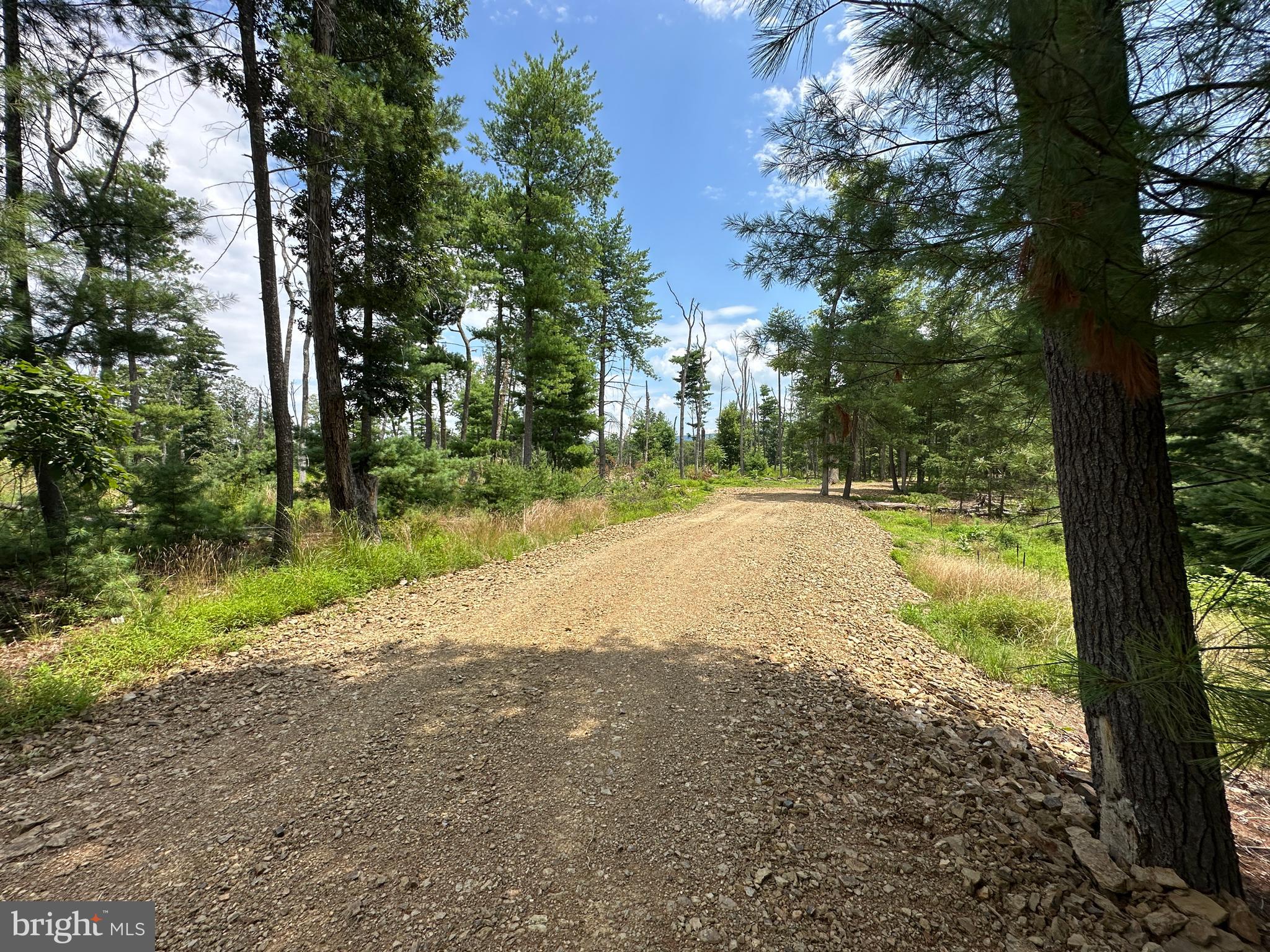 NONE AVAILABLE - Land