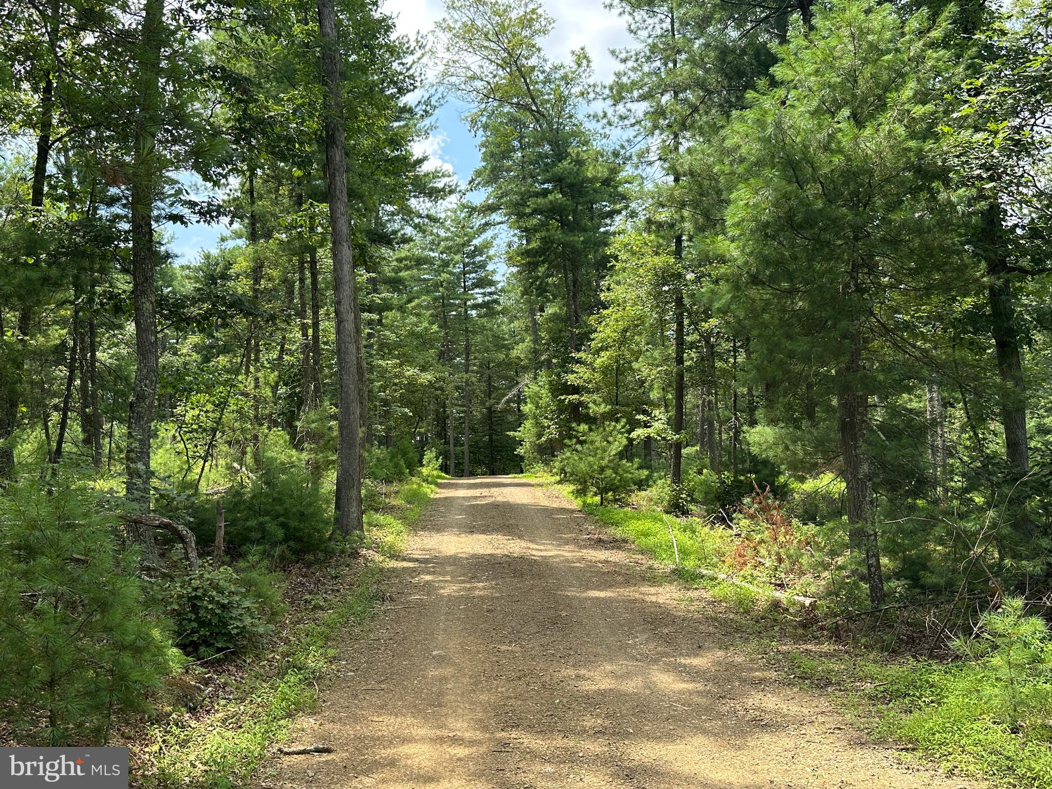 62 ACRES OFF CAPON SPRINGS ROAD