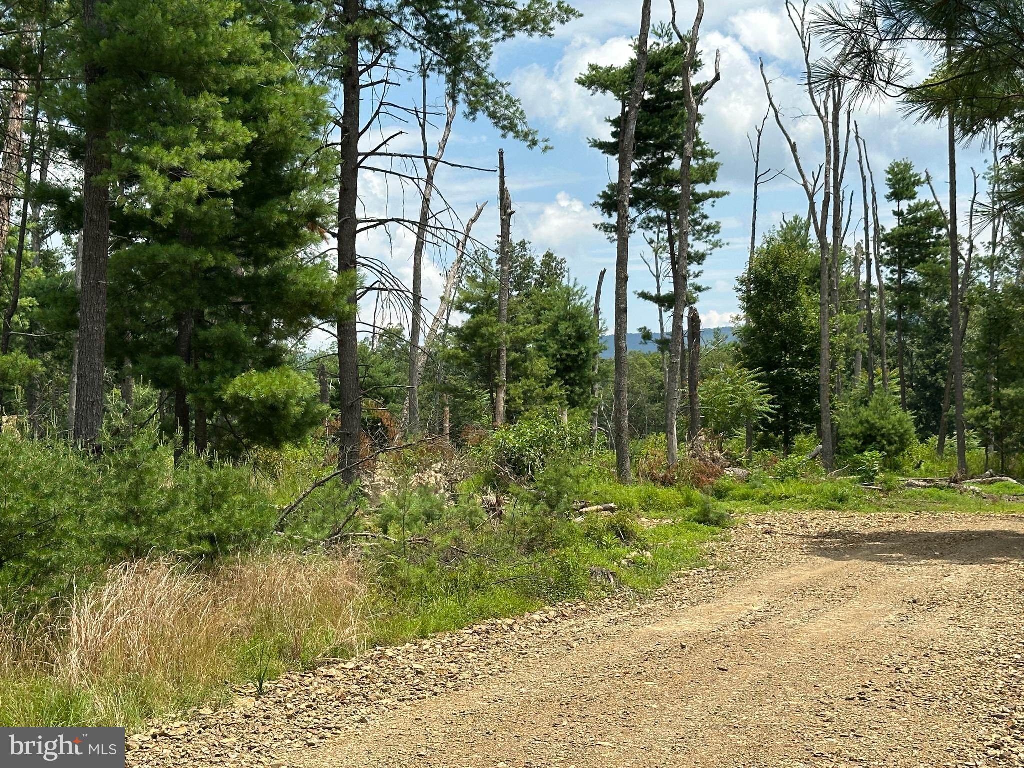 NONE AVAILABLE - Land