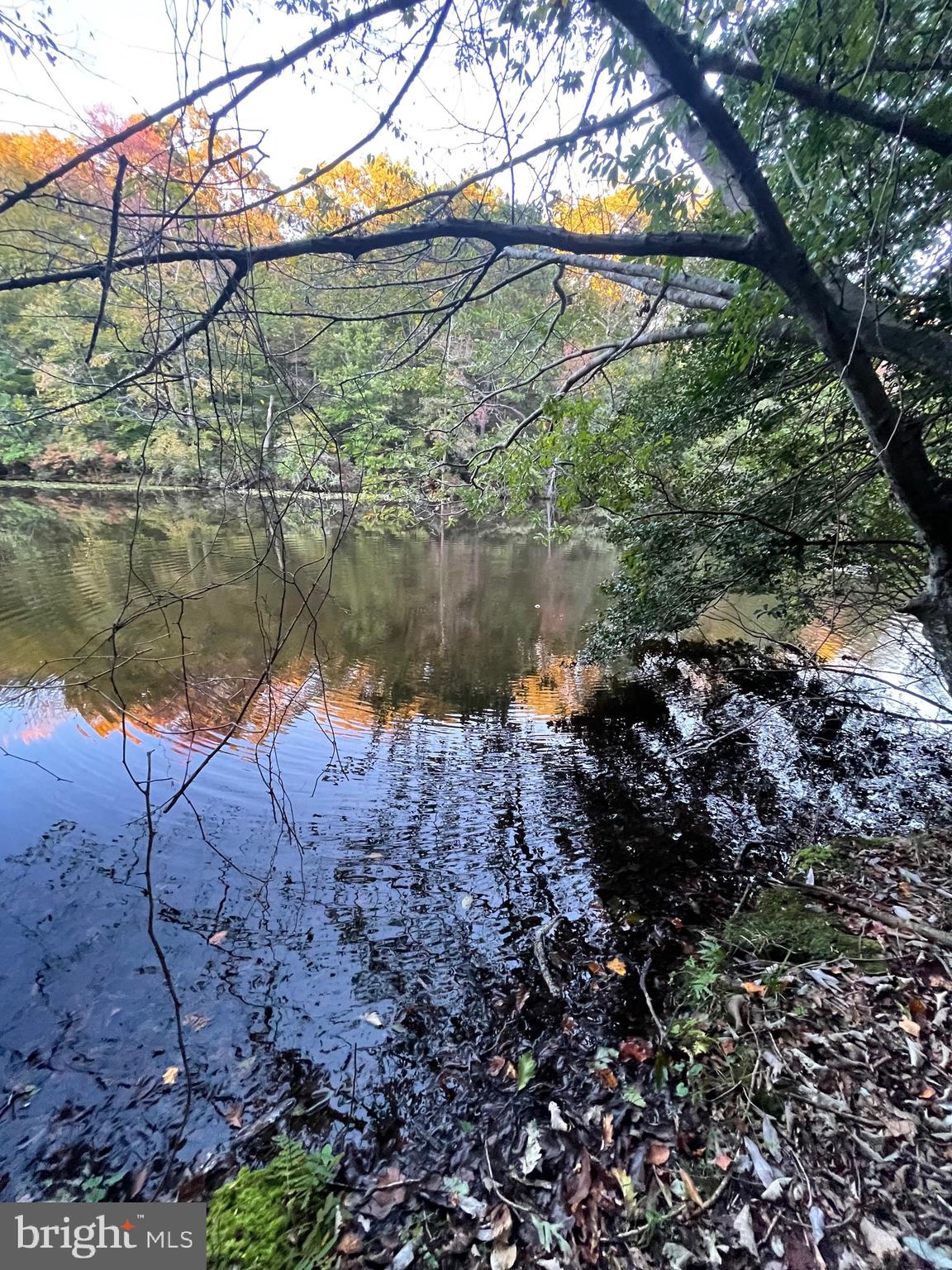 CHESAPEAKE RANCH ESTATES - Residential