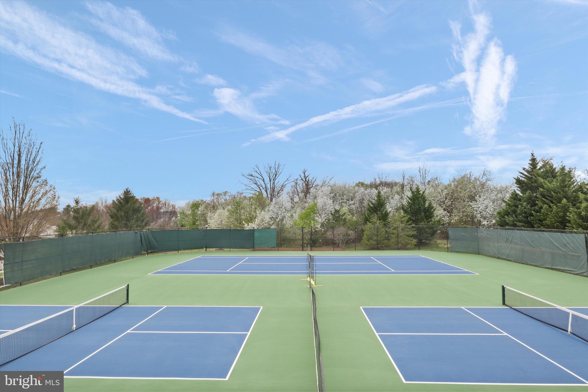 BELMONT BAY - Residential