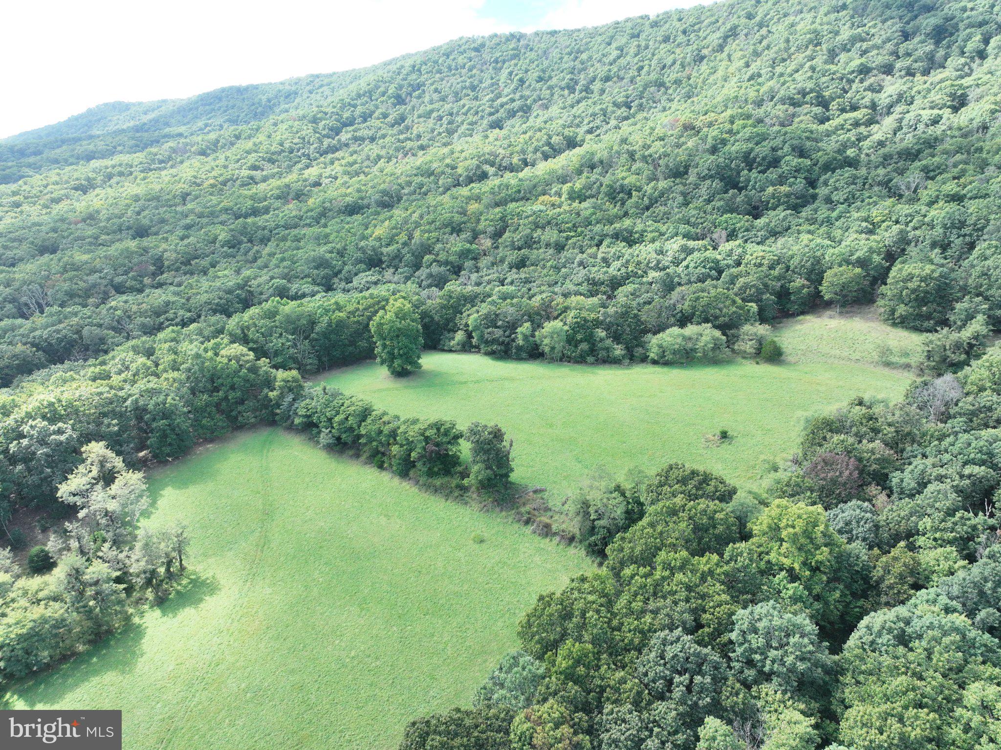 129.93 ACRES OFF STRAWDERMAN ROAD