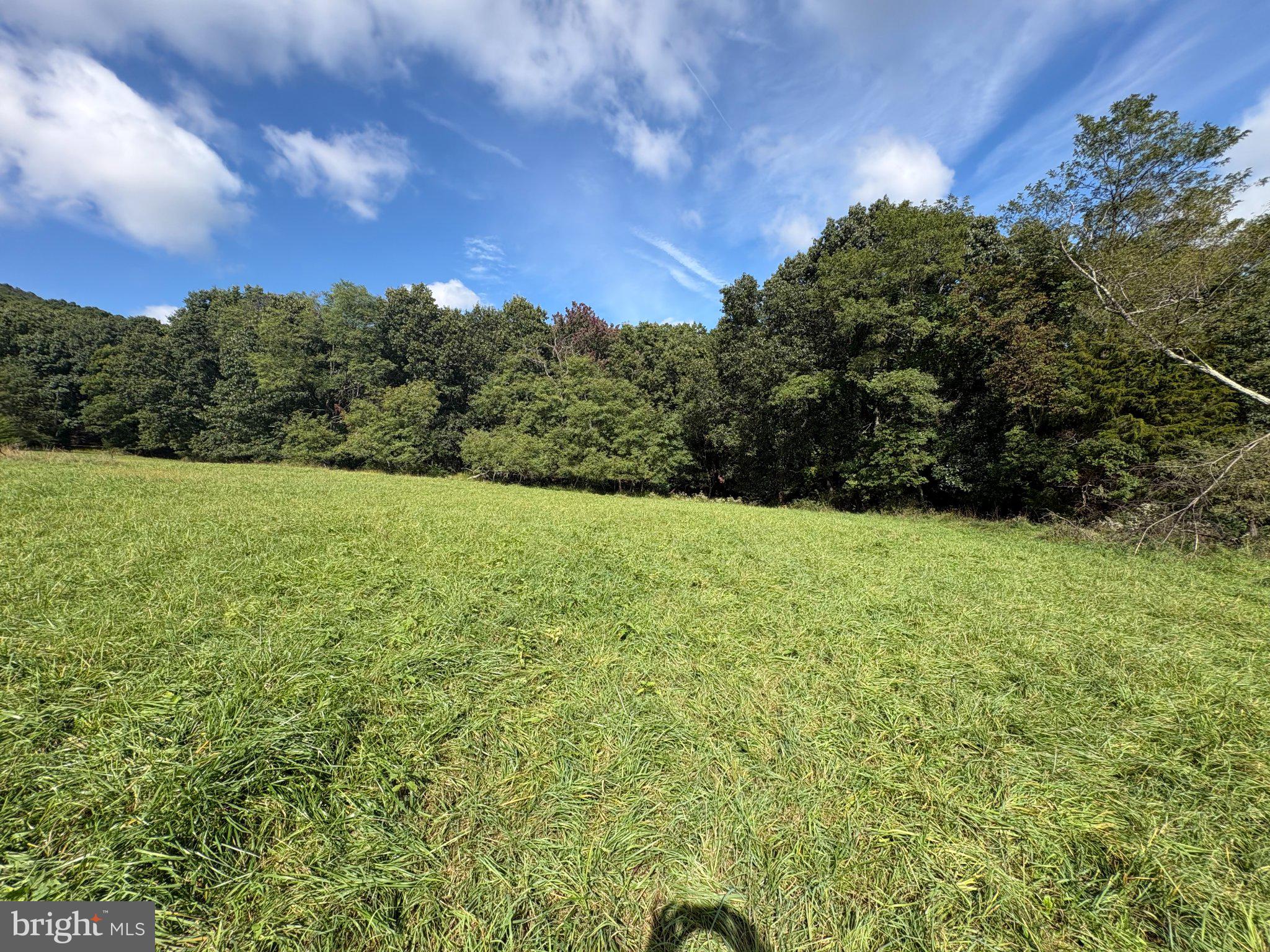 129.93 ACRES OFF STRAWDERMAN ROAD
