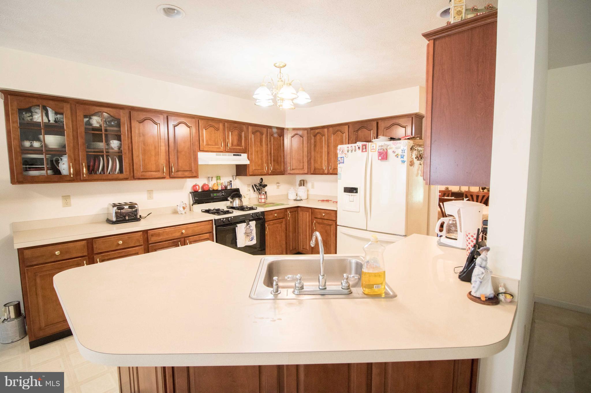 CHESTNUT HILLS - Residential