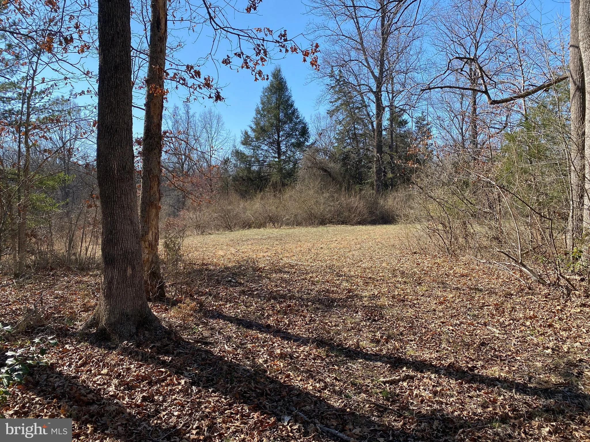 Additional image 17 of Whites Farm Lane #8, Culpeper, VA 22701