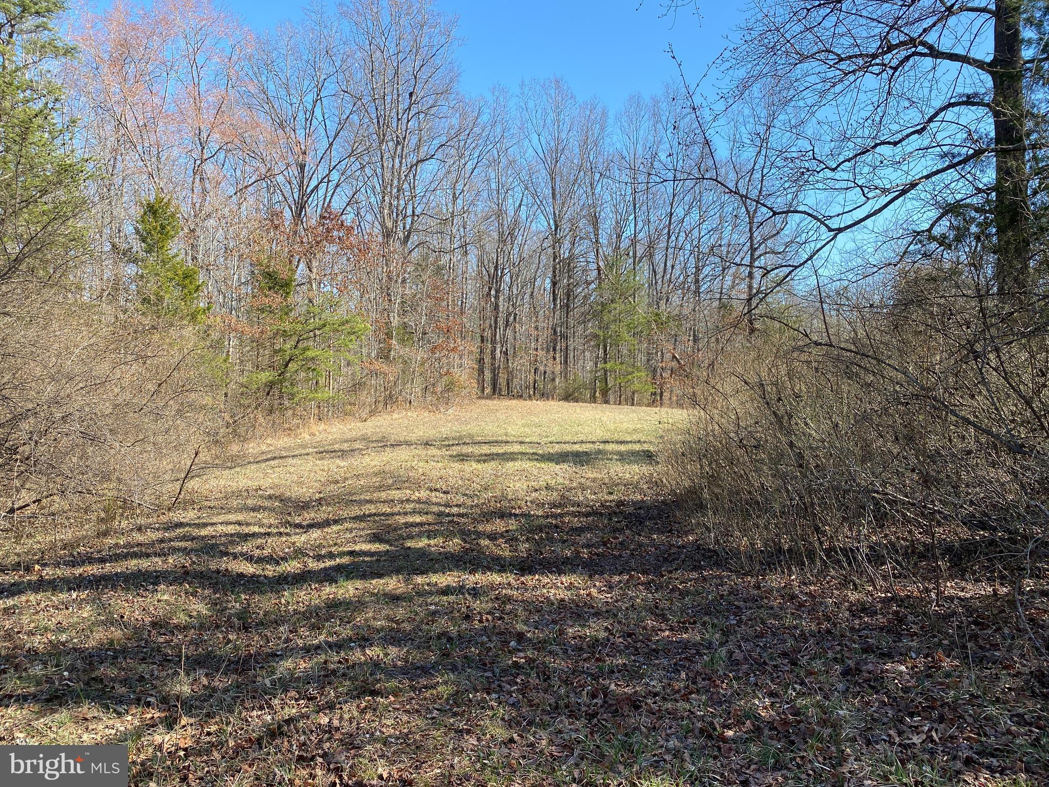 00 WHITES FARM LANE #8
