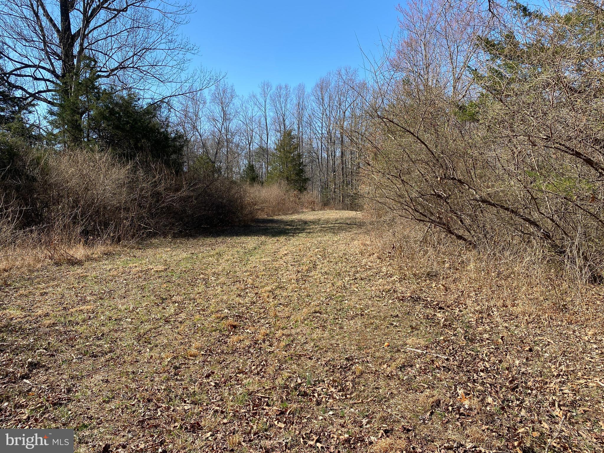 00 WHITES FARM LANE #8