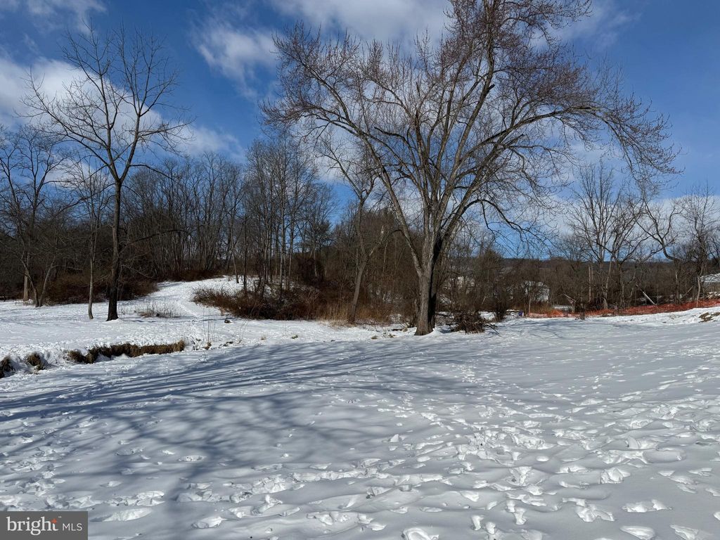 Photo of 502 N Humer St, ENOLA, PA 17025 (MLS # PACB2050516)