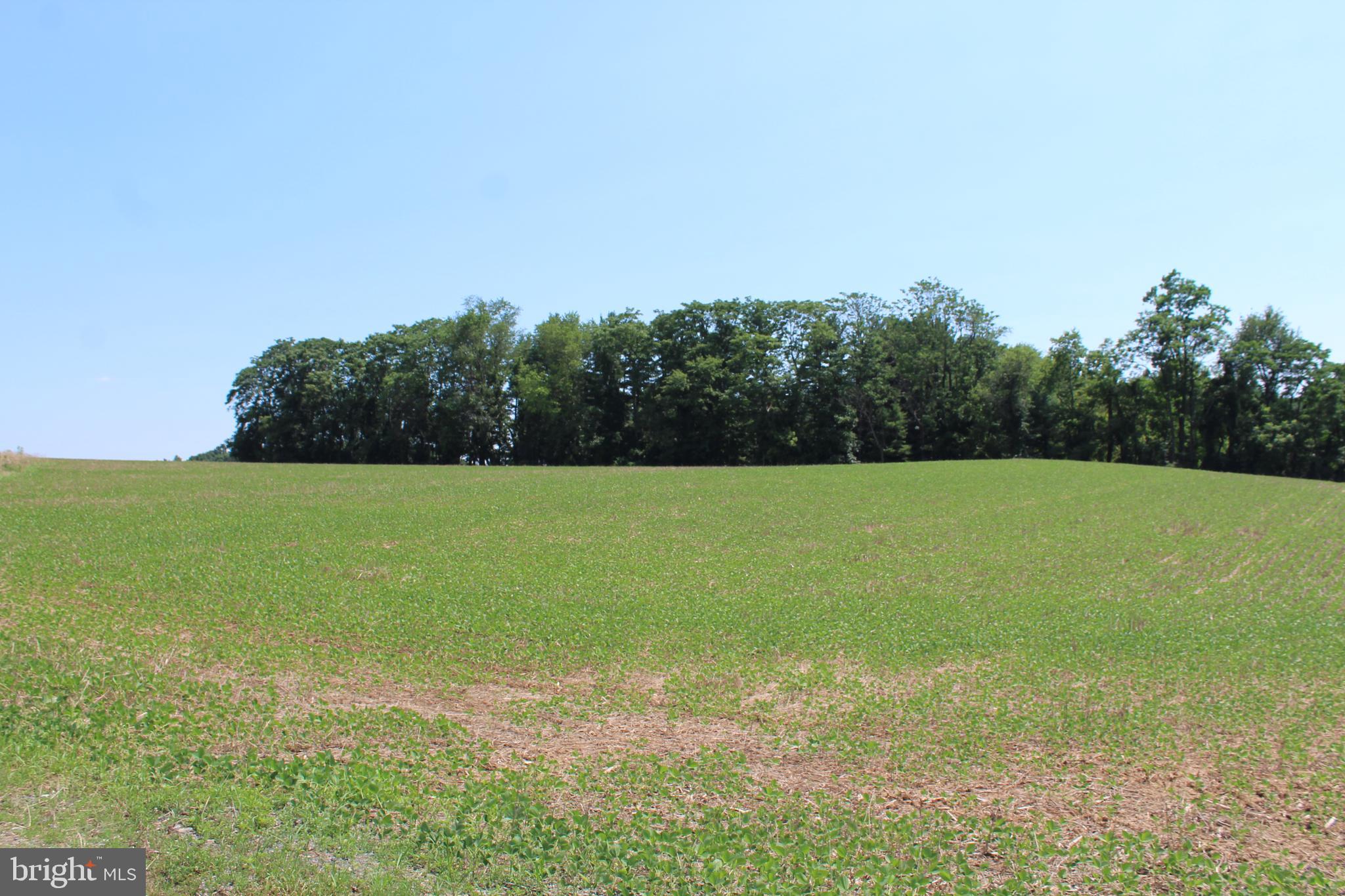 A FEW MILES SOUTH OF WESTMINSTER, FIRST TIME OFFERED FOR A SMALL COUNTRY ESTATE HOMESITE, described as an original land grant from the King of England, known as "Resurvey on Father's Gift" being part of a tract of land called "The Strawberry Patch". It is easy to envision an entrance off Ridge Road (MD/27) onto a sweeping driveway to a slightly elevated homesite on 4.0 Acres of open land currently in crop production. The property affords the space for a grand residence, area for a barn with pastures and a future swimming pool, bordered to the south by mature hardwoods. The topography is excellent to locate a custom home with expansive views of the countryside. There is no HOA. The seller is responsible for installing the well. The perk site is approved for a "Conventional" Septic System for a 4 bed room residence. This is a rare find in a most desirable location within minutes of Westminster and easy access to the Baltimore Metro Area or south to Washington DC corridor (Metro servie at Germantown). Please DO NOT enter the property without a confirmed appointment. When touring the property please stay off the crops.