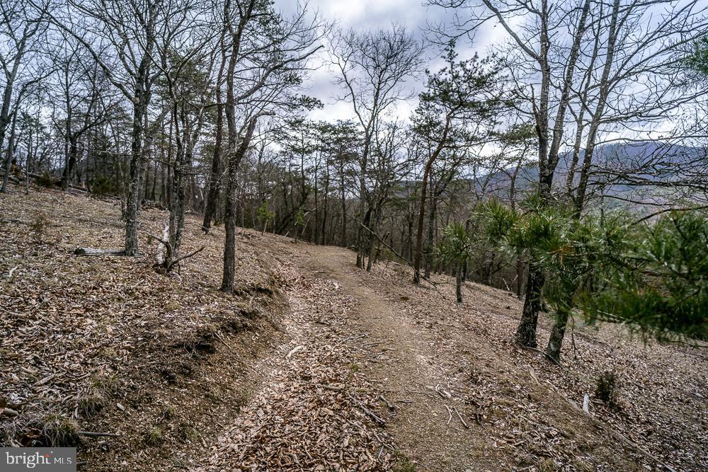 NONE AVAILABLE - Land