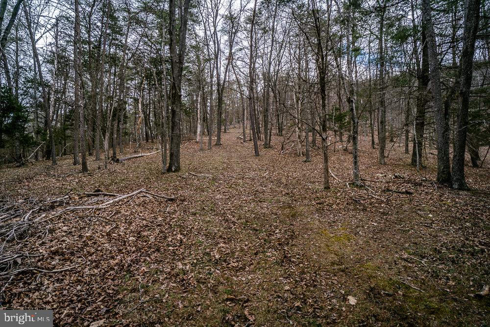 NONE AVAILABLE - Land