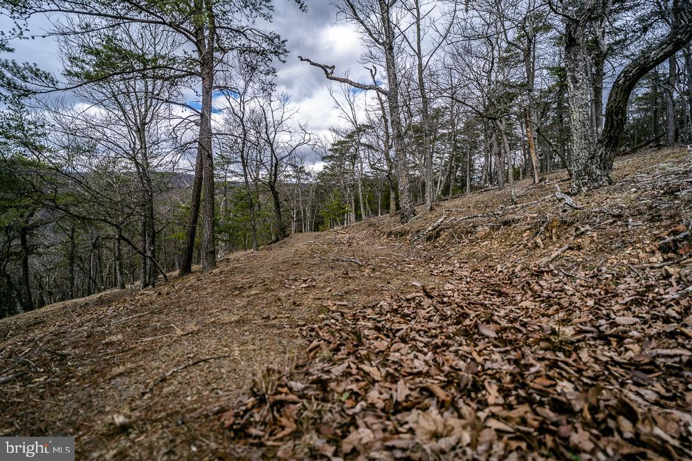 NONE AVAILABLE - Land