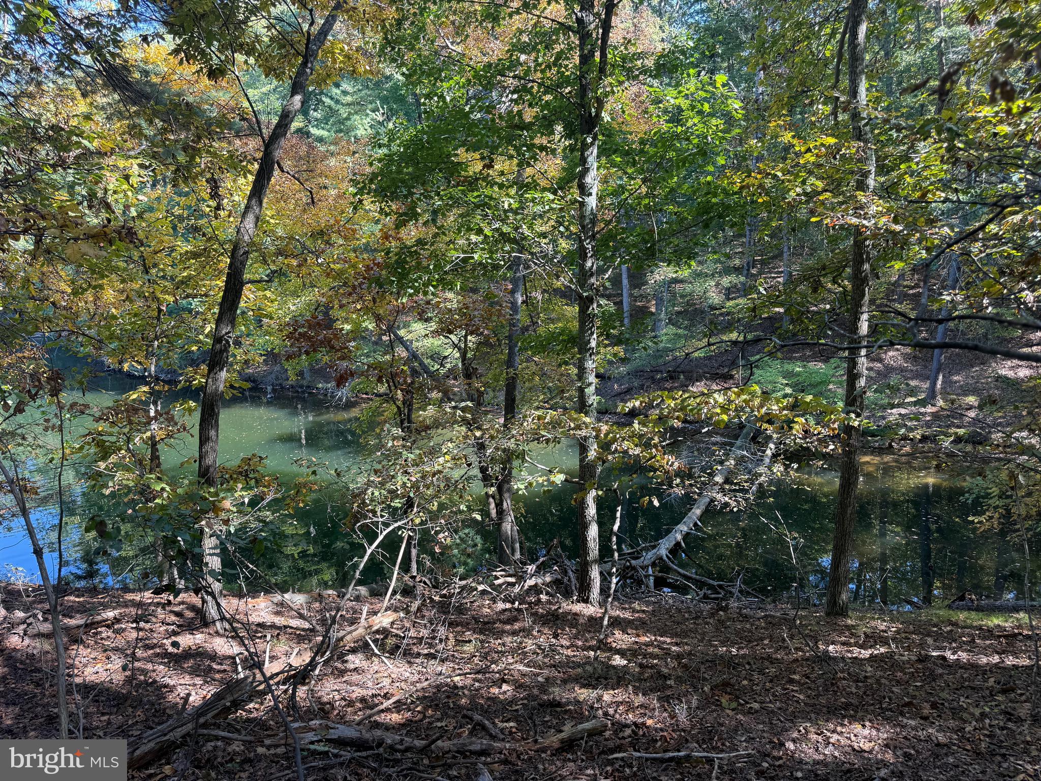 LAKE HOLIDAY ESTATES - Land