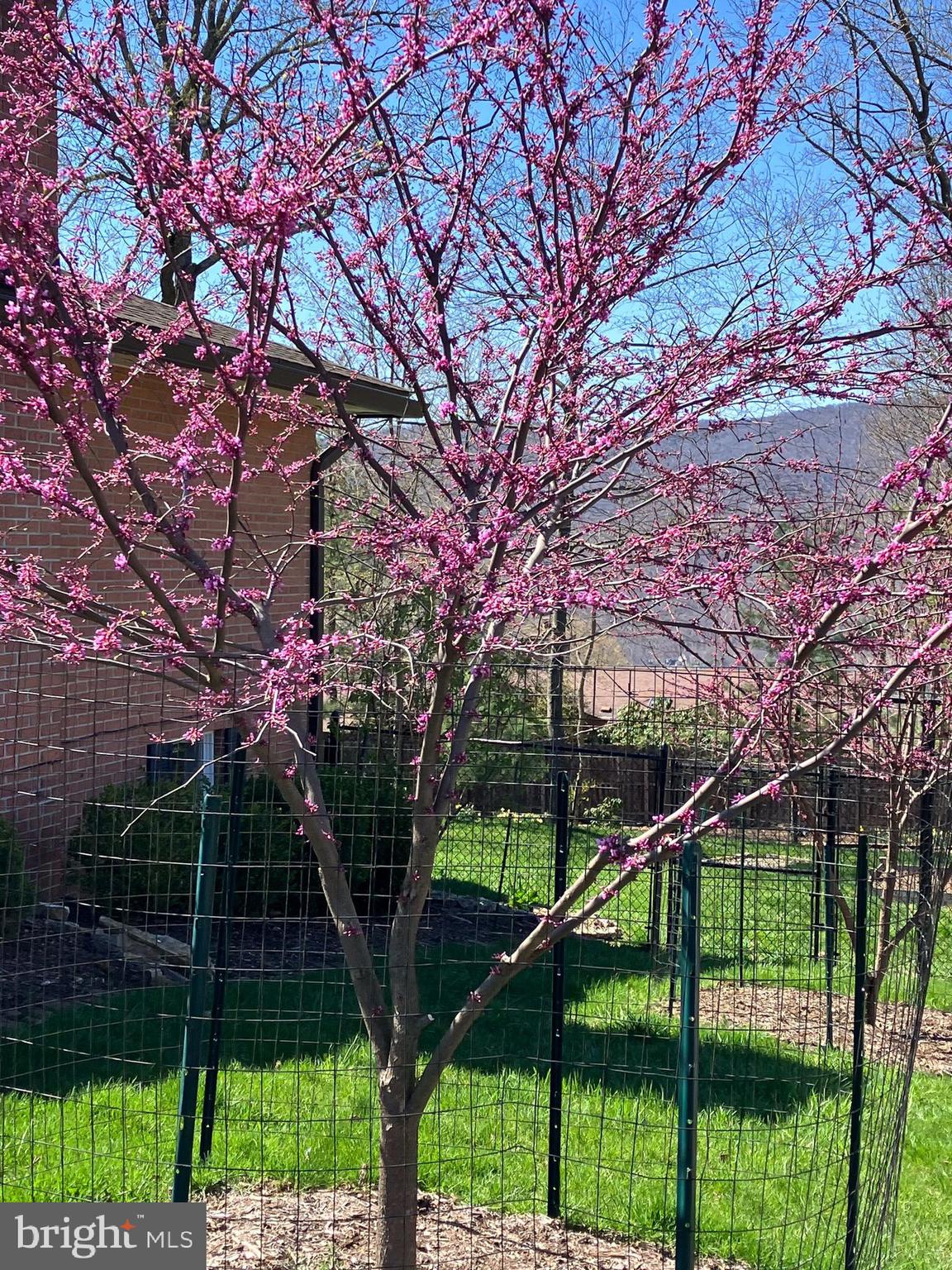 SUNSET VIEW - Residential