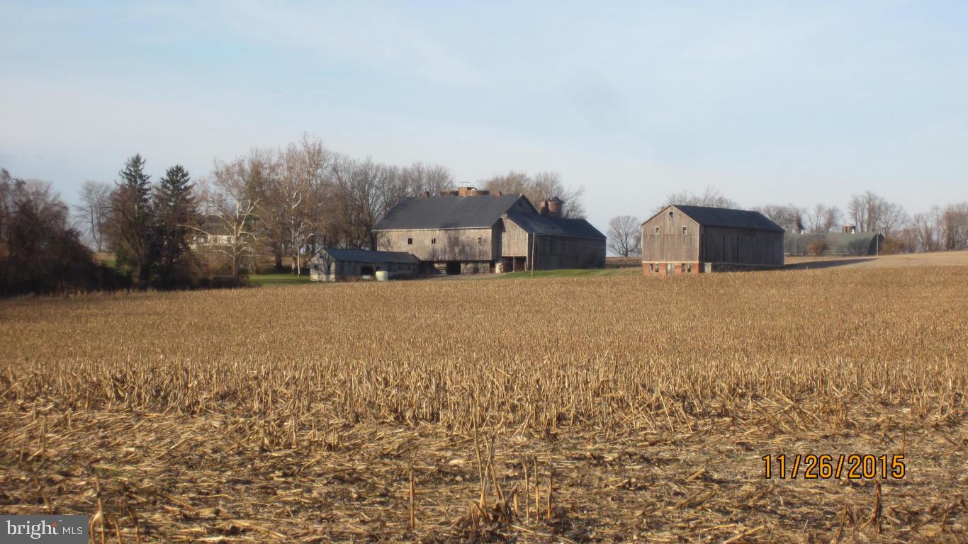 NONE AVAILABLE - Farm