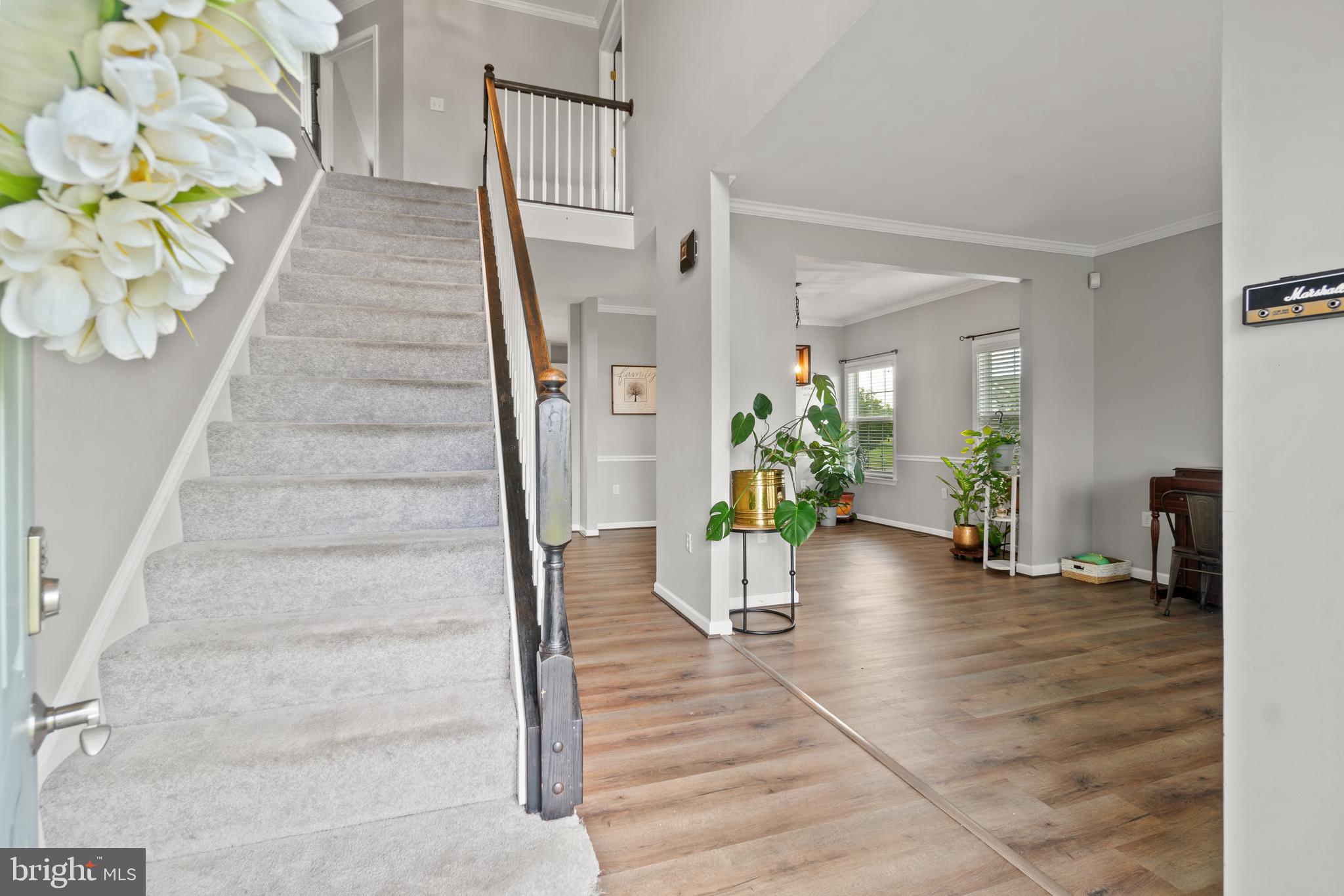 MCCAULEY CROSSING - Residential