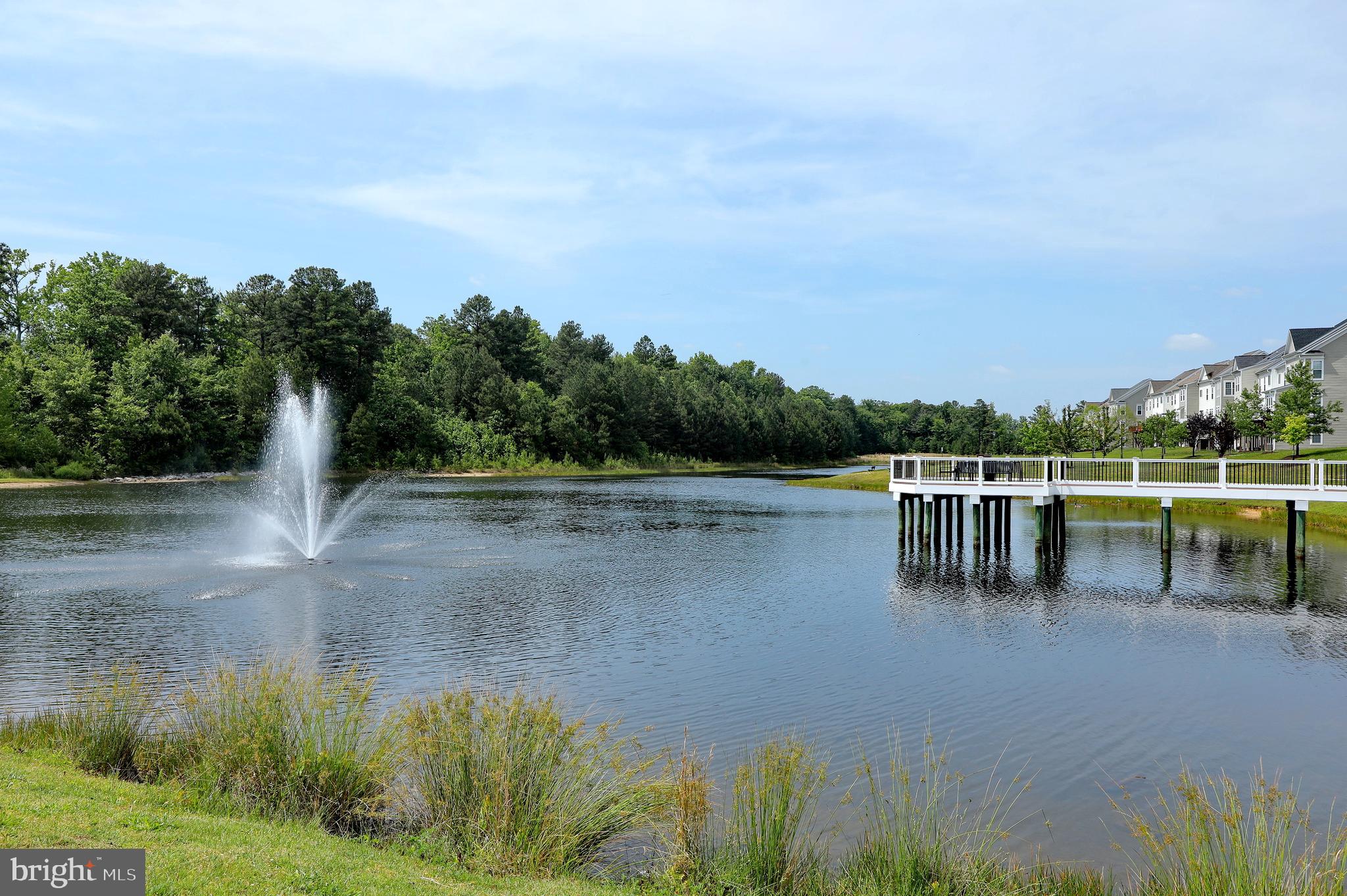 CHADDSFORD-PLAT1 SECTION - Residential