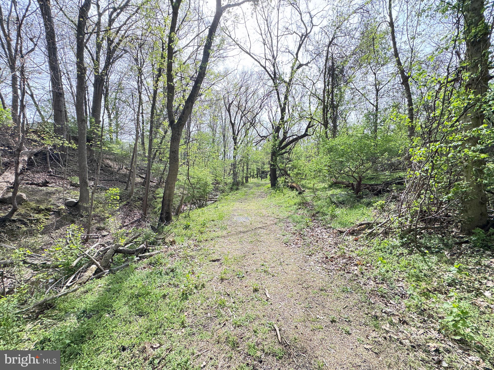 BRUNSWICK HEIGHTS - Residential