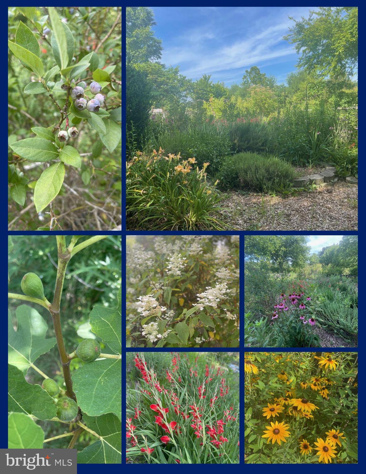 SNOW CREEK - Residential