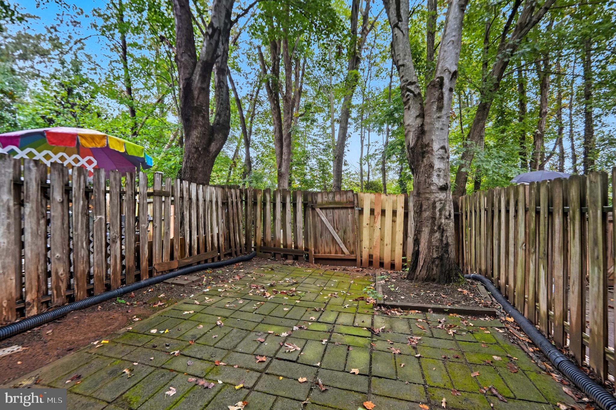 14877 EMBERDALE DRIVE