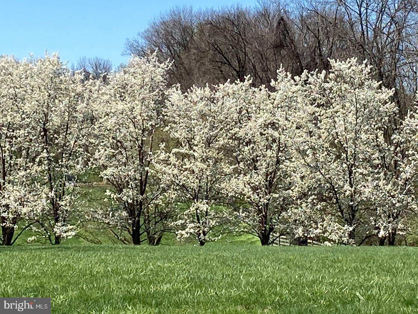 INDIAN RUN FARM - Residential