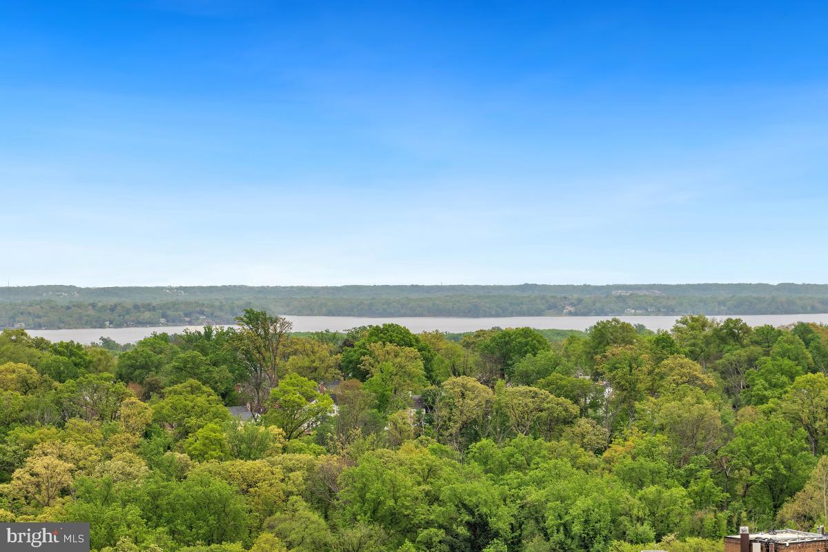 5902 MOUNT EAGLE DRIVE 1402