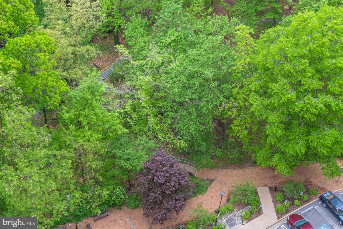 MONTEBELLO - Residential