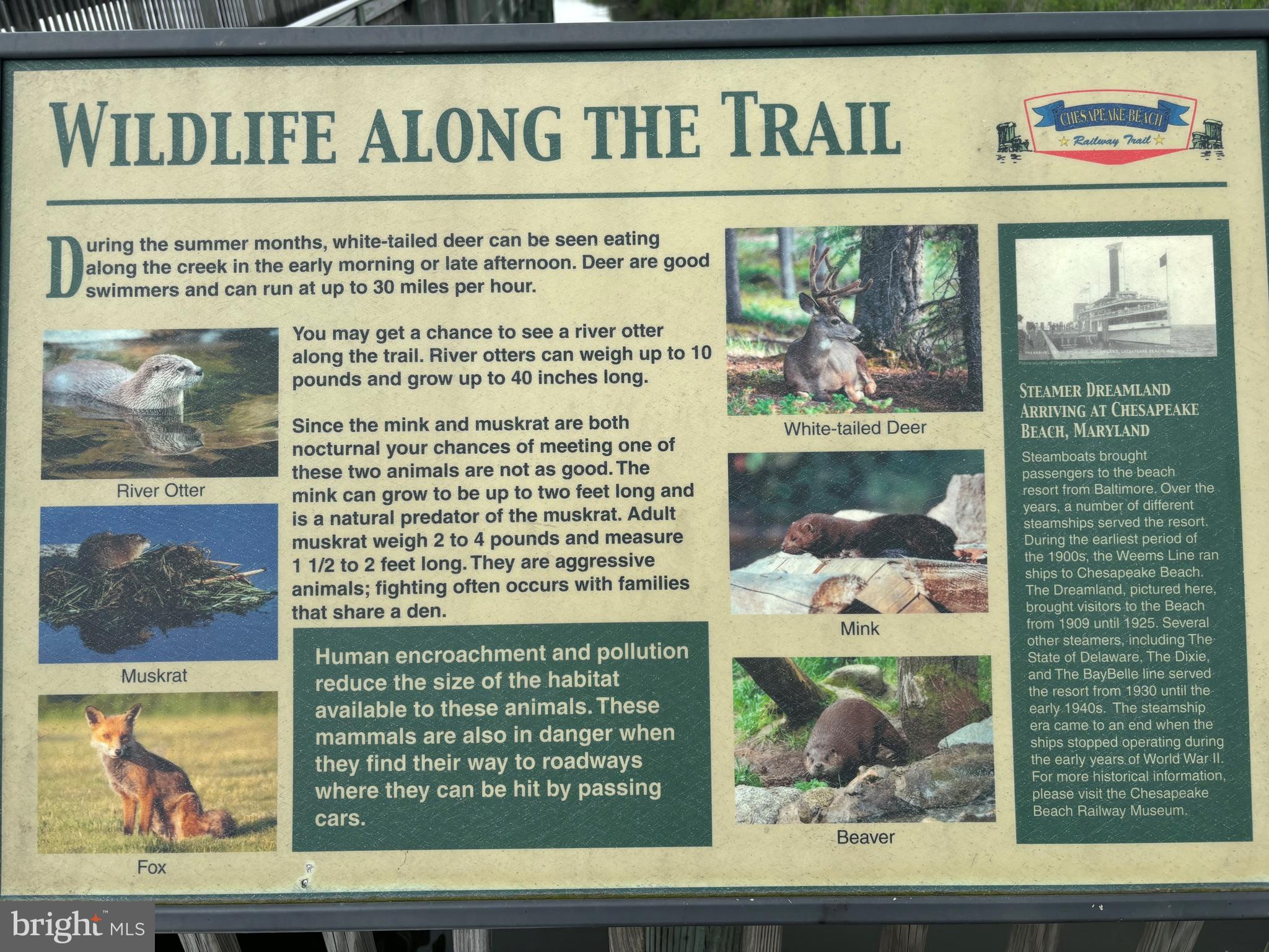 BAYVIEW HILLS - Residential