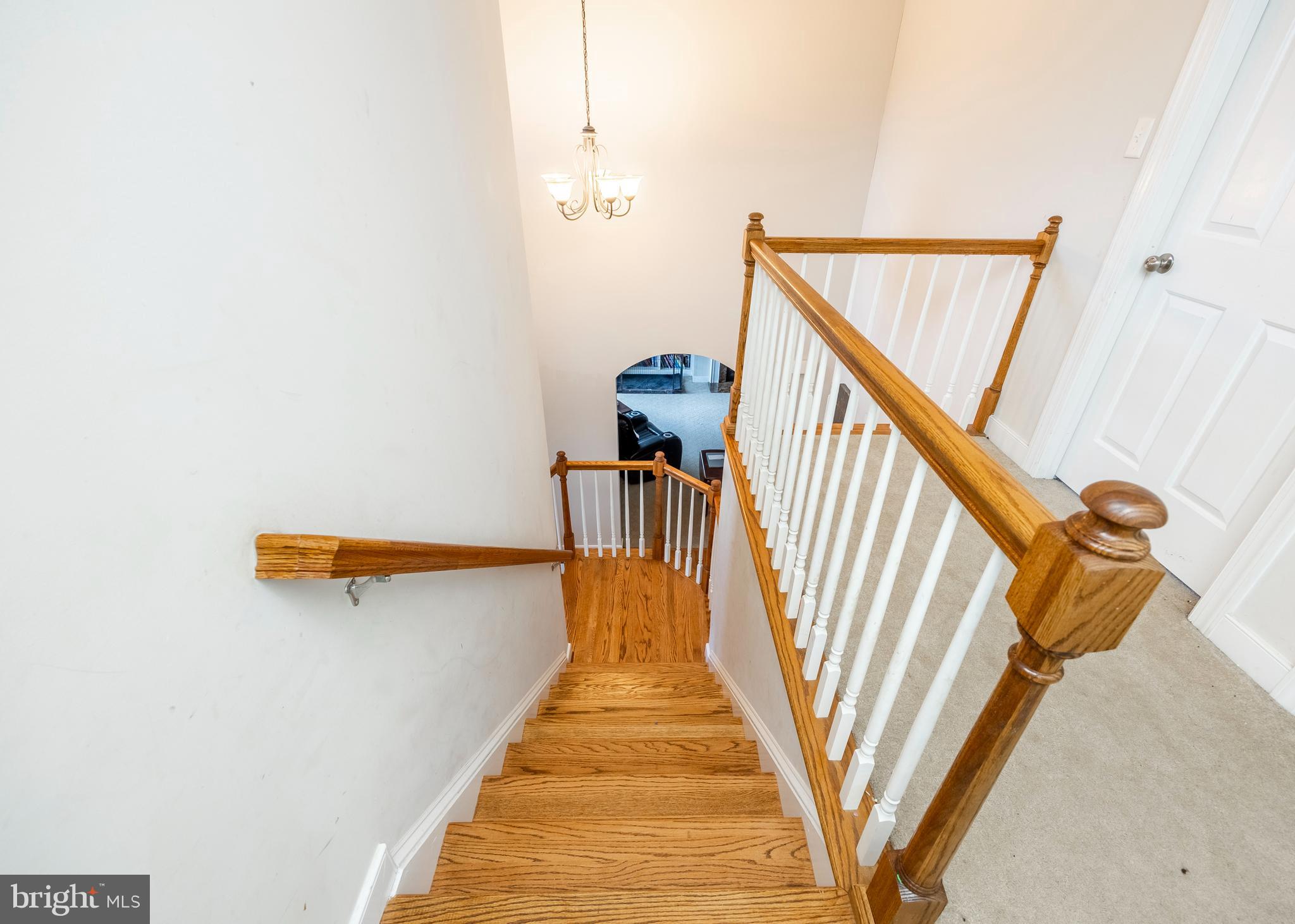 BEAGLE RUN - Residential