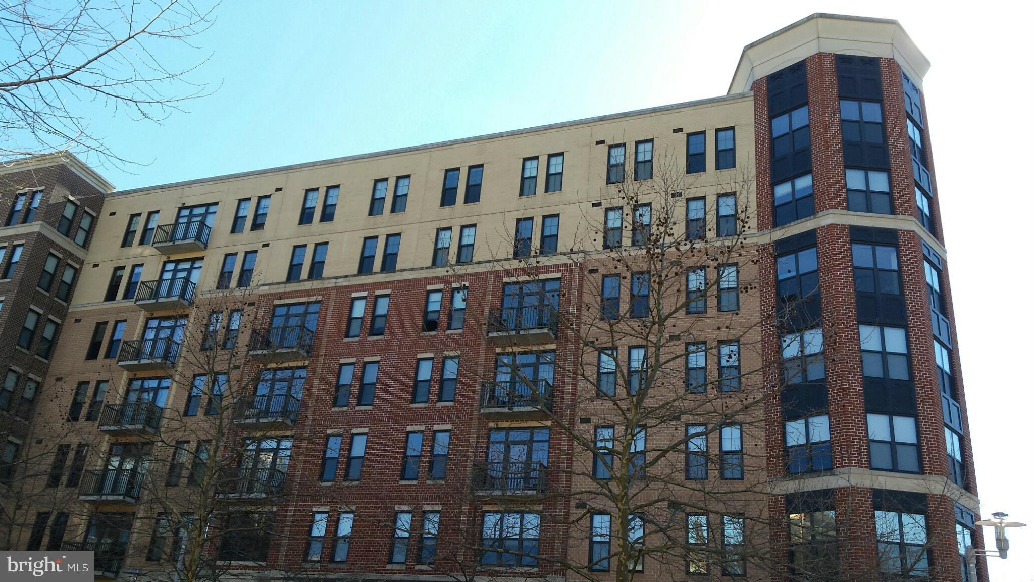 SPECTRUM CONDO - Residential Lease