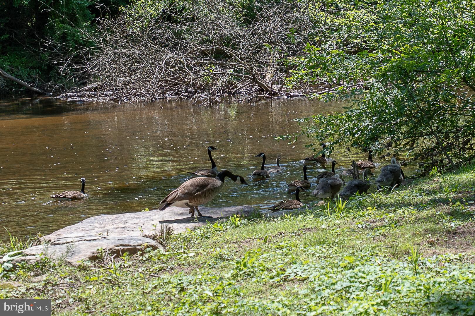 FRENCH CREEK ESTS - Residential