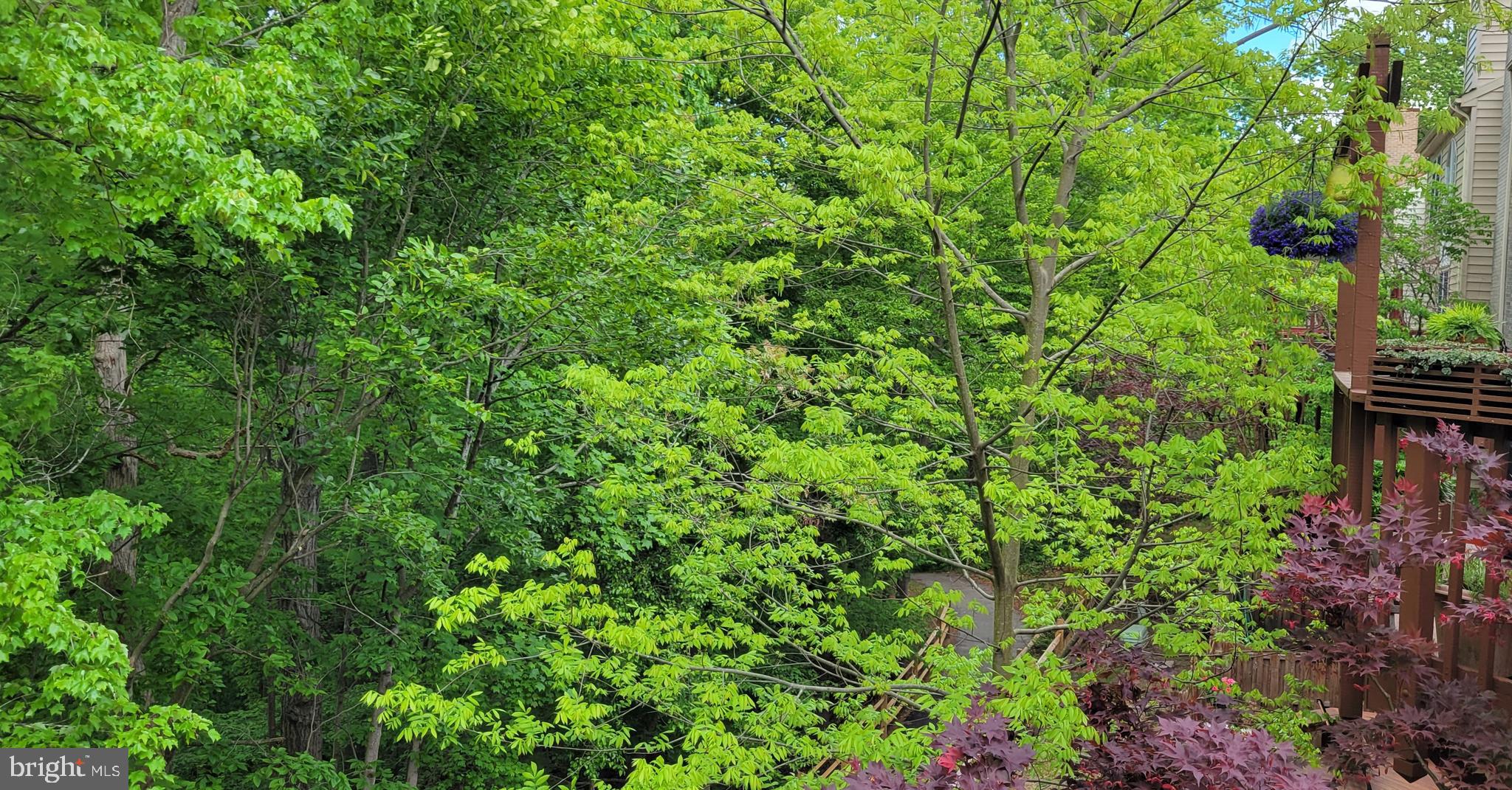 DAVENTRY - Residential