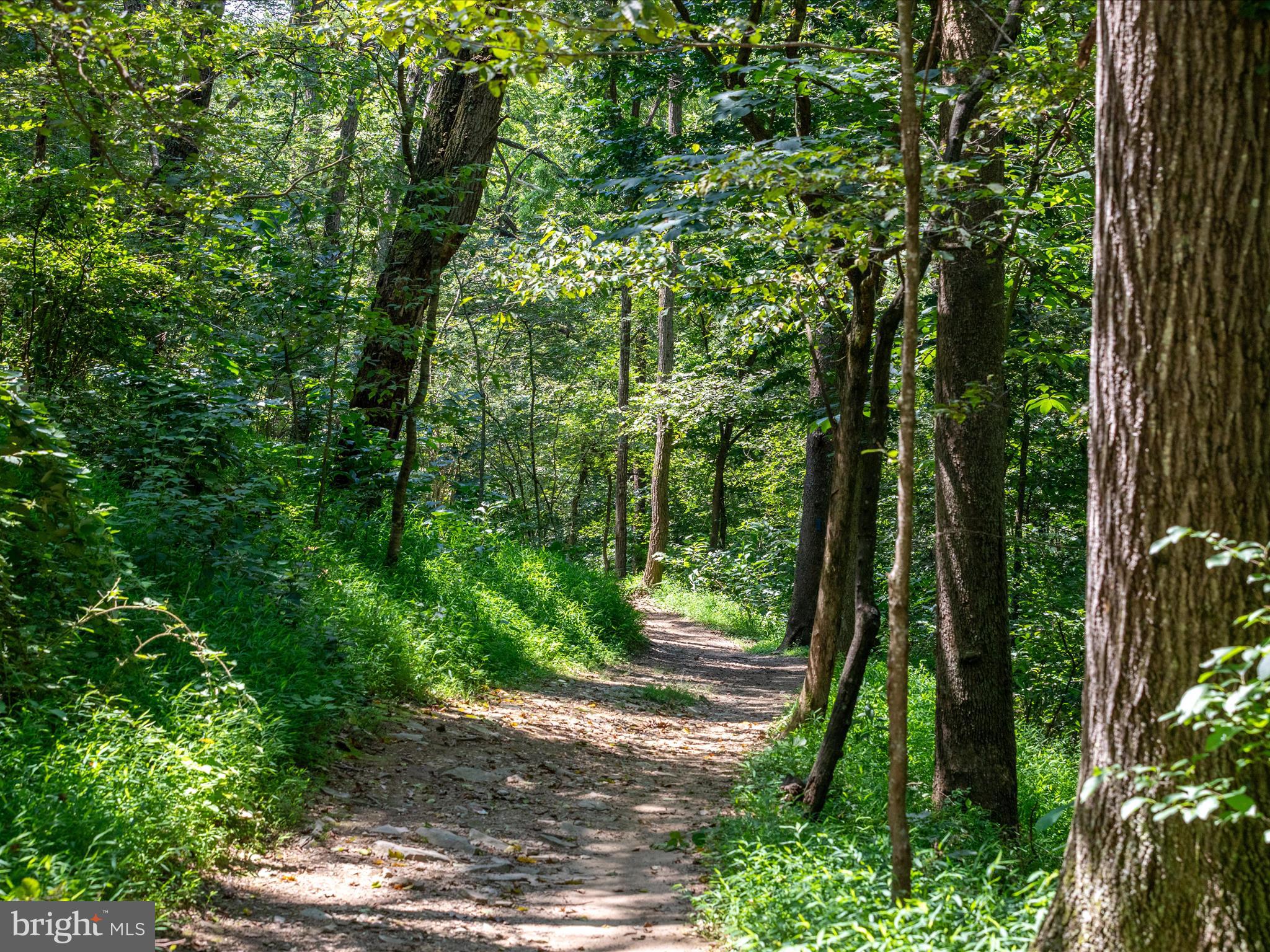 MOUNTAIN BROOK - Residential