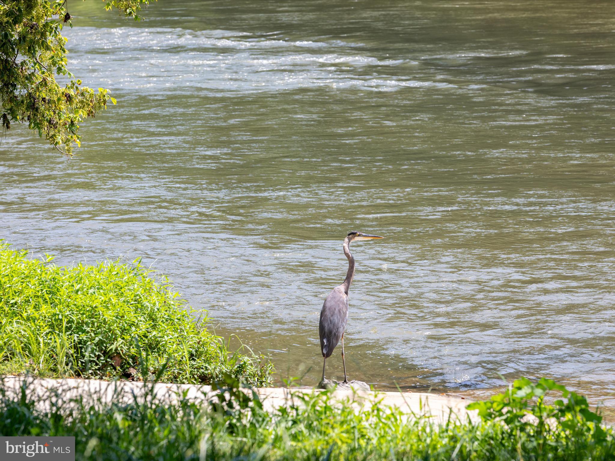 MOUNTAIN BROOK - Residential
