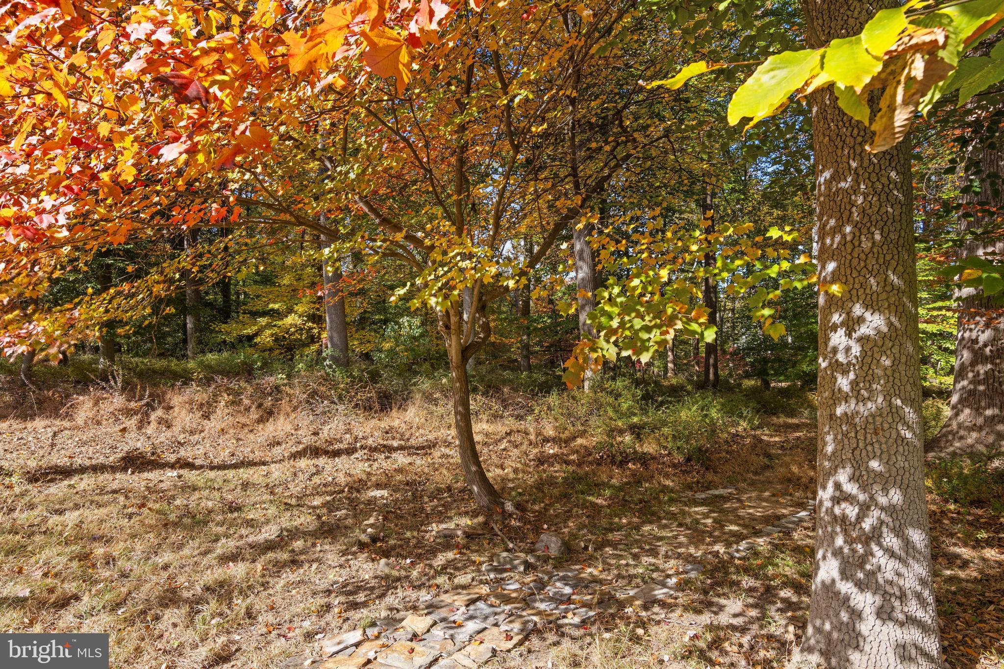 LISETER - Residential