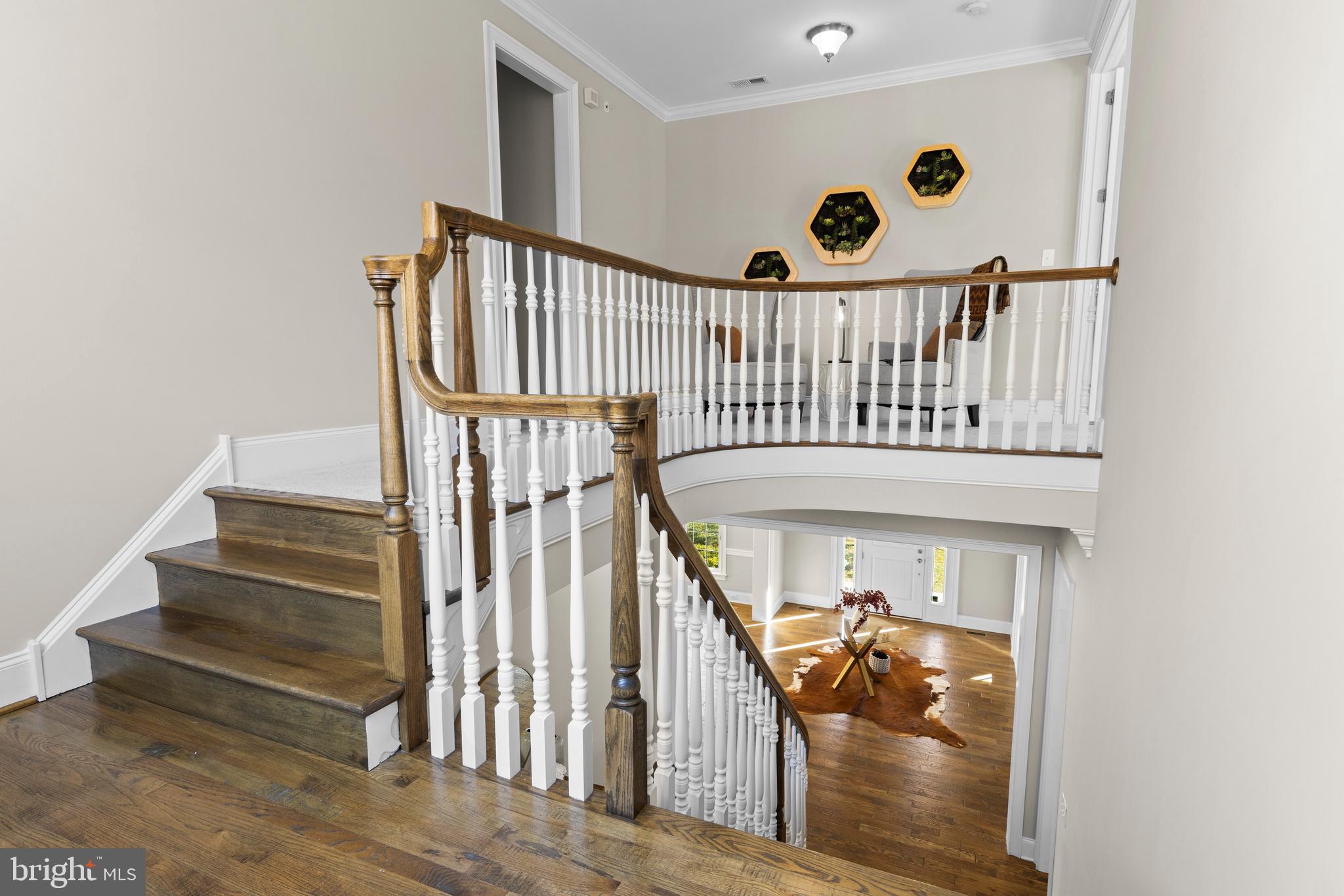 LISETER - Residential