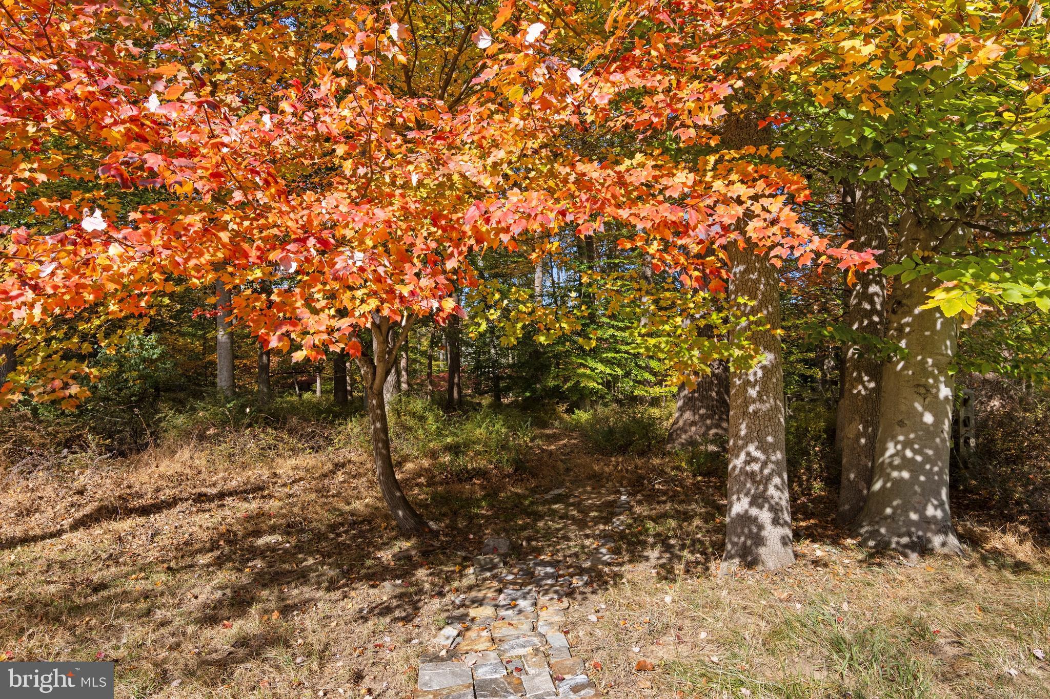 LISETER - Residential