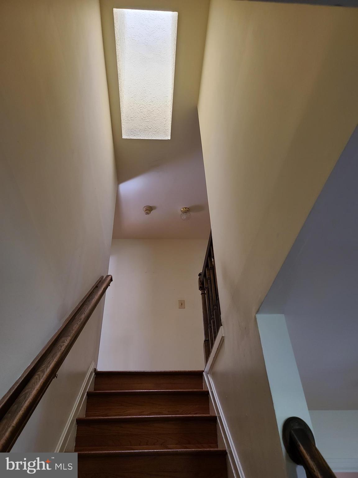 CHELTENHAM FOREST - Residential