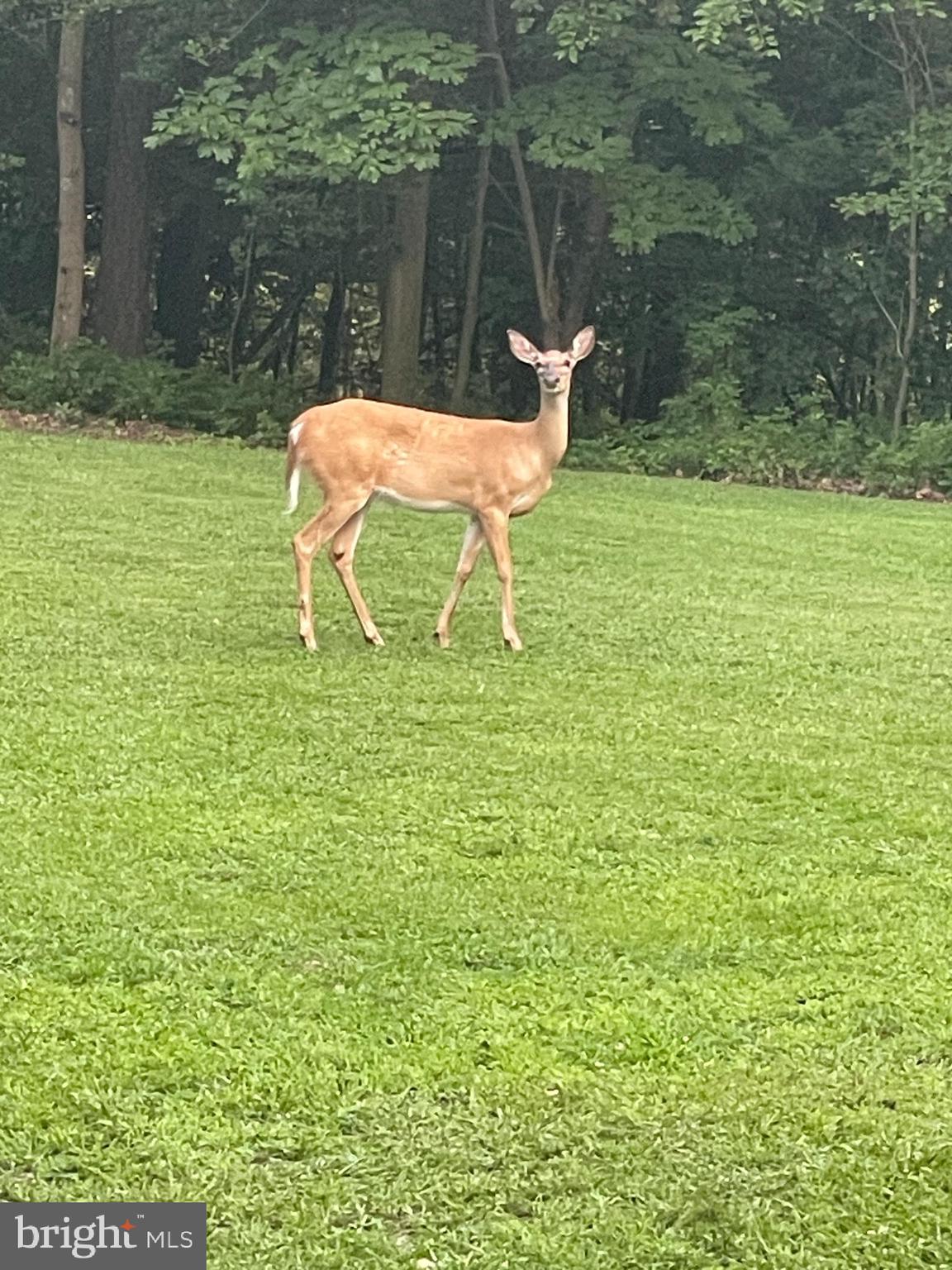 BOULEVARD PARK - Residential